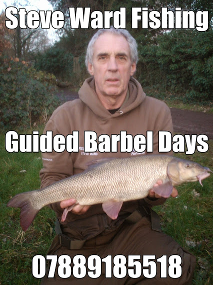 Steve Ward Fishing